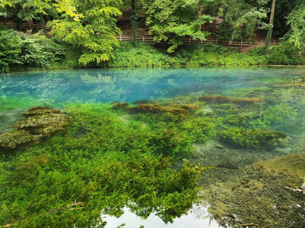 The Blue Pool, Furzebrook, Dorset