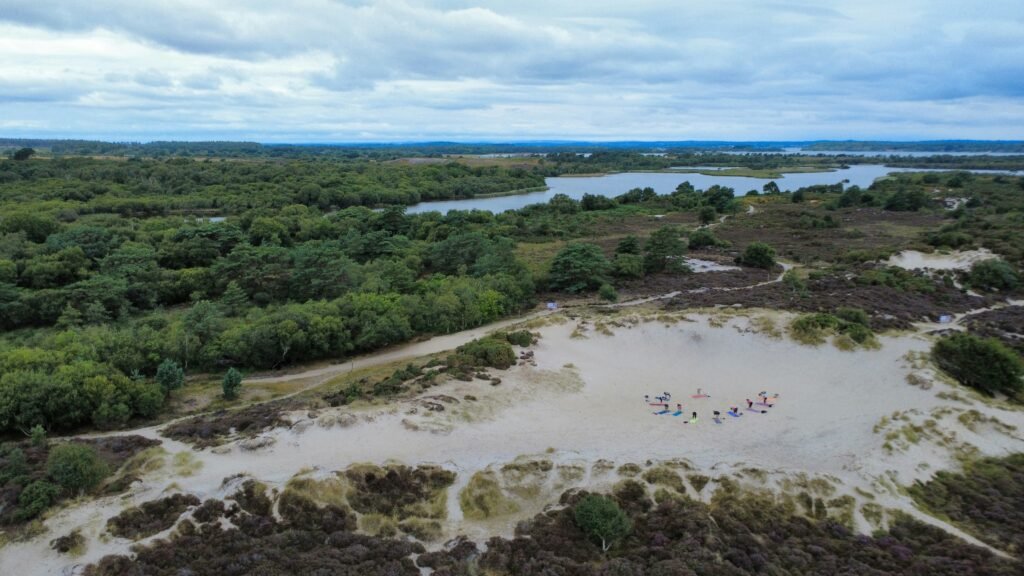Studland beach in Dorset